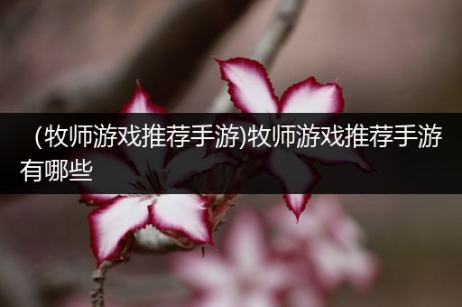 （牧师游戏推荐手游)牧师游戏推荐手游有哪些