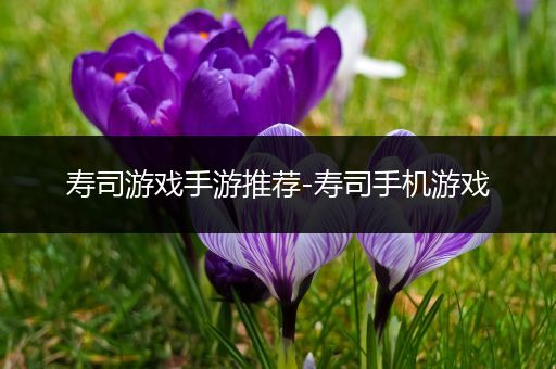 寿司游戏手游推荐-寿司手机游戏