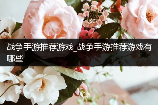战争手游推荐游戏_战争手游推荐游戏有哪些