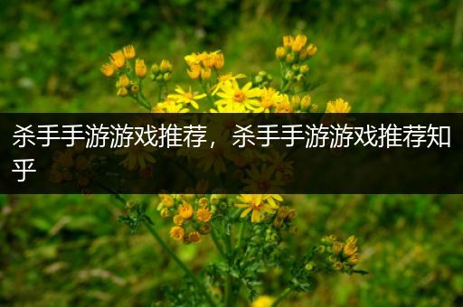 杀手手游游戏推荐，杀手手游游戏推荐知乎