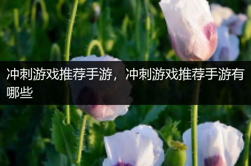 冲刺游戏推荐手游，冲刺游戏推荐手游有哪些