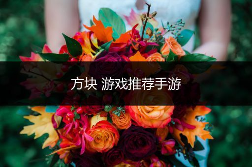 方块 游戏推荐手游