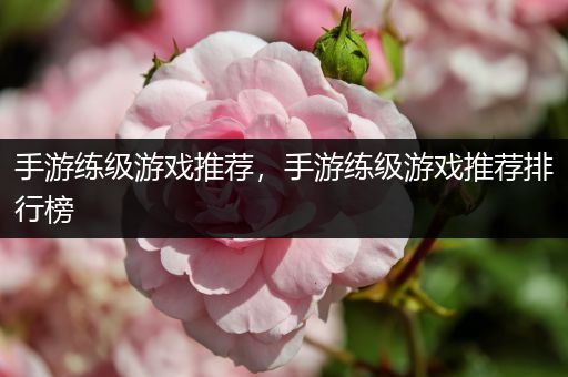 手游练级游戏推荐，手游练级游戏推荐排行榜