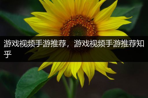 游戏视频手游推荐，游戏视频手游推荐知乎