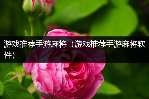 游戏推荐手游麻将（游戏推荐手游麻将软件）