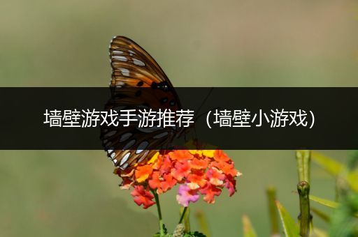 墙壁游戏手游推荐（墙壁小游戏）