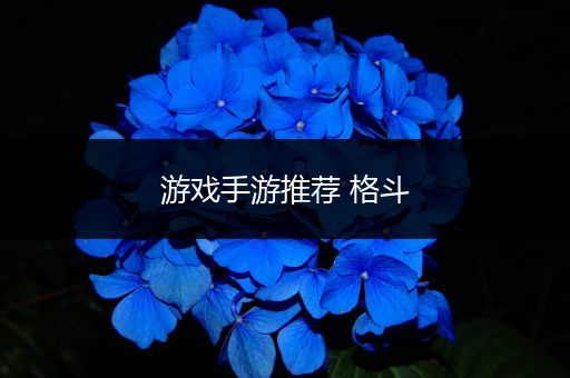 游戏手游推荐 格斗
