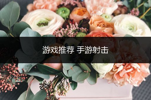 游戏推荐 手游射击