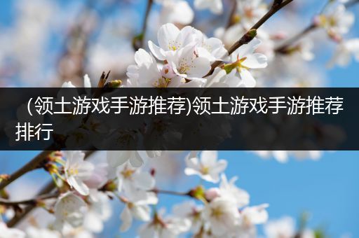 （领土游戏手游推荐)领土游戏手游推荐排行