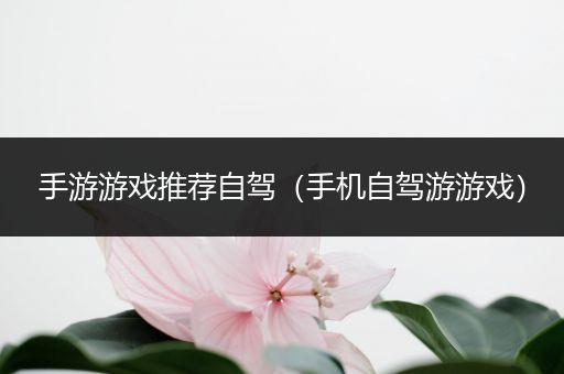 手游游戏推荐自驾（手机自驾游游戏）