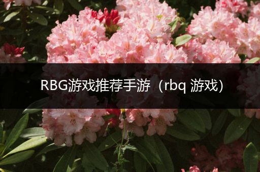 RBG游戏推荐手游（rbq 游戏）