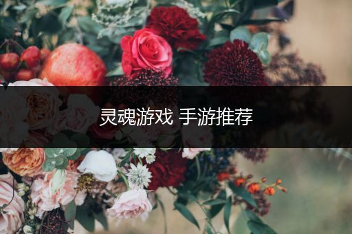 灵魂游戏 手游推荐