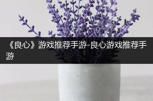 《良心》游戏推荐手游-良心游戏推荐手游