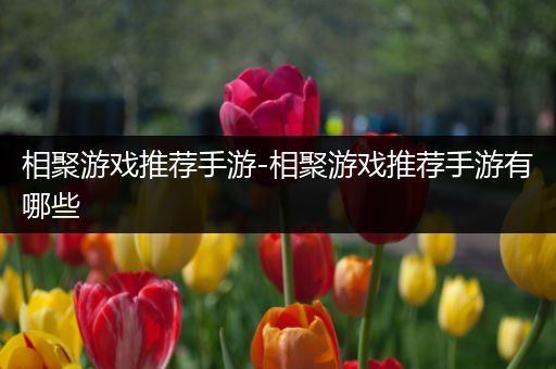 相聚游戏推荐手游-相聚游戏推荐手游有哪些