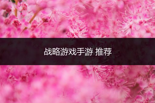 战略游戏手游 推荐