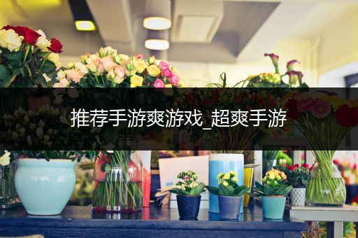 推荐手游爽游戏_超爽手游