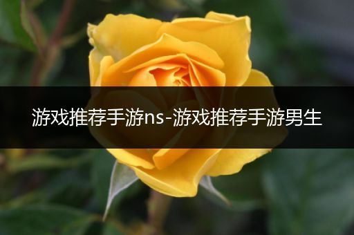 游戏推荐手游ns-游戏推荐手游男生