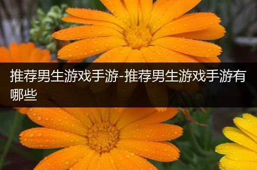 推荐男生游戏手游-推荐男生游戏手游有哪些