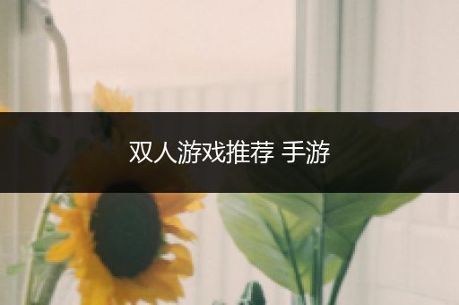 双人游戏推荐 手游
