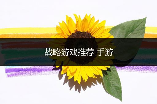 战略游戏推荐 手游