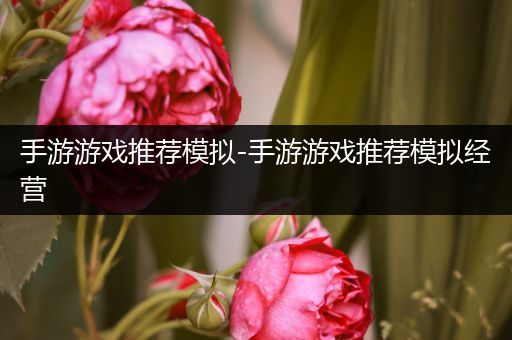 手游游戏推荐模拟-手游游戏推荐模拟经营