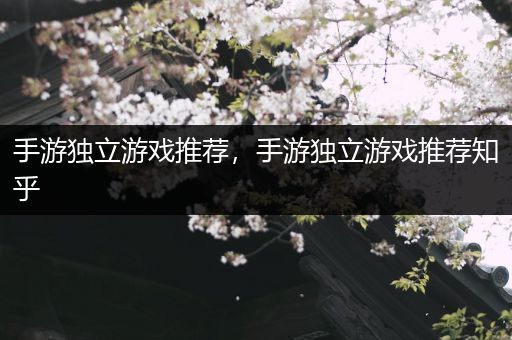 手游独立游戏推荐，手游独立游戏推荐知乎