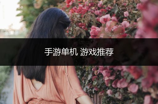 手游单机 游戏推荐