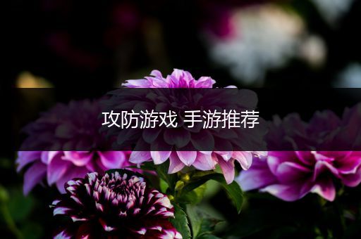 攻防游戏 手游推荐