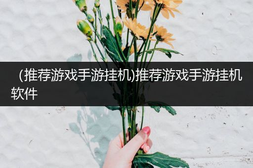 （推荐游戏手游挂机)推荐游戏手游挂机软件