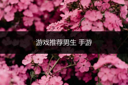 游戏推荐男生 手游