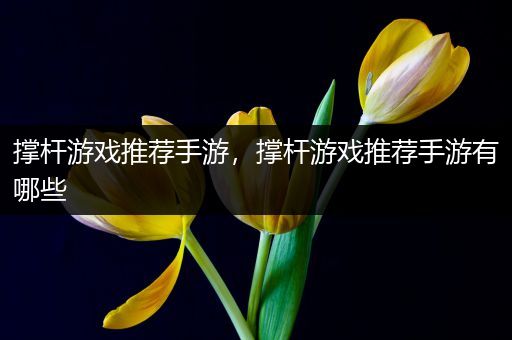 撑杆游戏推荐手游，撑杆游戏推荐手游有哪些