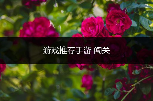 游戏推荐手游 闯关