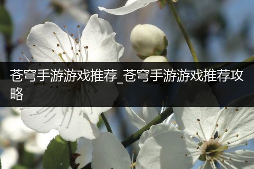 苍穹手游游戏推荐_苍穹手游游戏推荐攻略