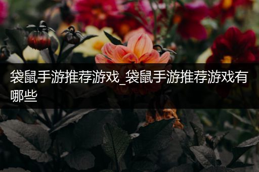 袋鼠手游推荐游戏_袋鼠手游推荐游戏有哪些