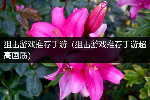 狙击游戏推荐手游（狙击游戏推荐手游超高画质）