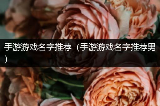 手游游戏名字推荐（手游游戏名字推荐男）