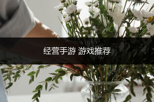 经营手游 游戏推荐