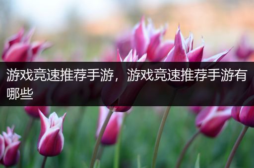 游戏竞速推荐手游，游戏竞速推荐手游有哪些
