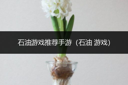 石油游戏推荐手游（石油 游戏）