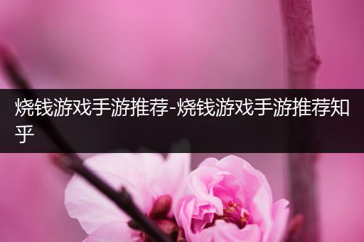 烧钱游戏手游推荐-烧钱游戏手游推荐知乎