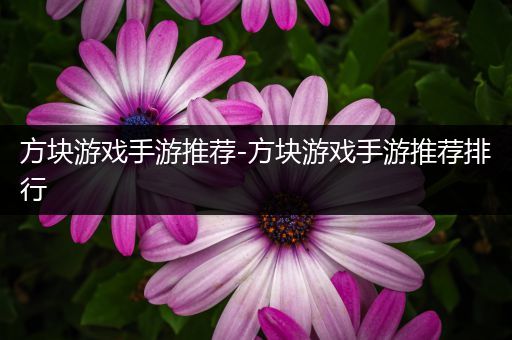 方块游戏手游推荐-方块游戏手游推荐排行