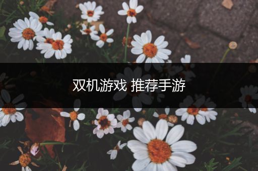 双机游戏 推荐手游