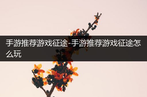 手游推荐游戏征途-手游推荐游戏征途怎么玩