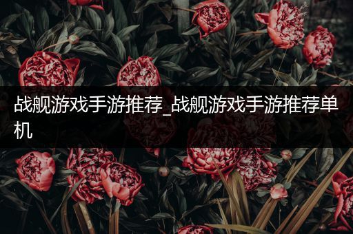 战舰游戏手游推荐_战舰游戏手游推荐单机