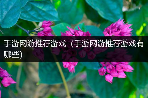 手游网游推荐游戏（手游网游推荐游戏有哪些）