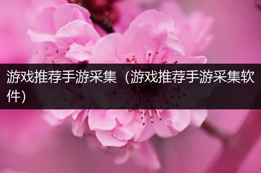 游戏推荐手游采集（游戏推荐手游采集软件）
