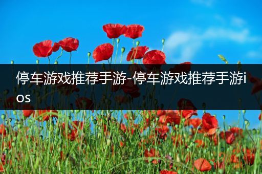 停车游戏推荐手游-停车游戏推荐手游ios