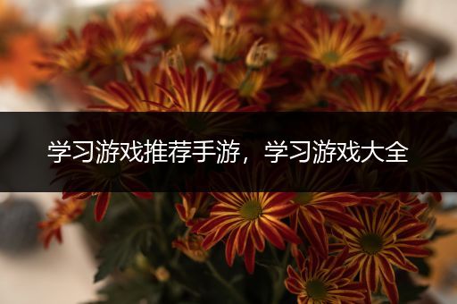学习游戏推荐手游，学习游戏大全