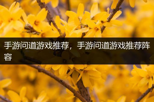手游问道游戏推荐，手游问道游戏推荐阵容