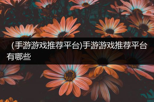 （手游游戏推荐平台)手游游戏推荐平台有哪些